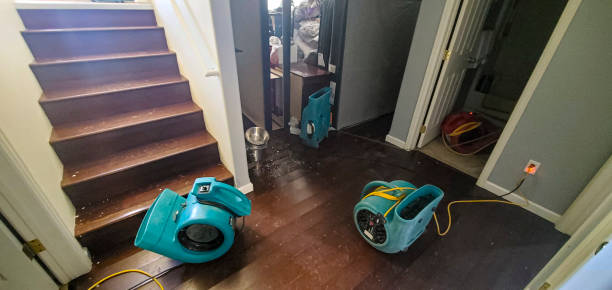 Best Commercial water damage restoration  in Shavano Park, TX