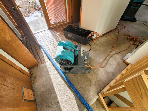 Best Basement water damage restoration  in Shavano Park, TX