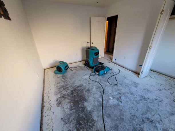 Best Mold removal after water damage  in Shavano Park, TX