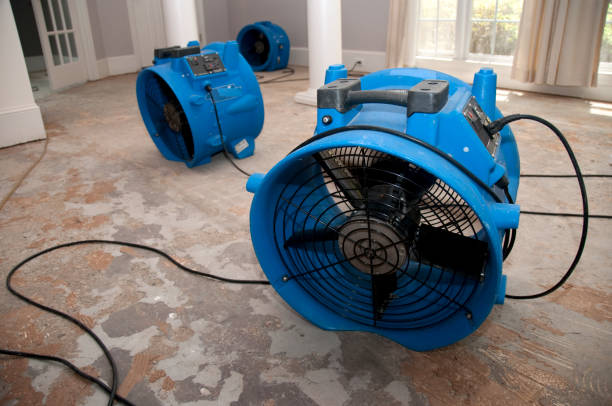 Best Emergency water extraction  in Shavano Park, TX