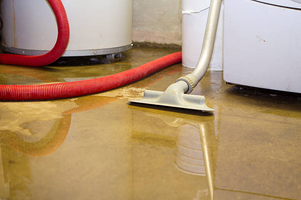 Best Sewage cleanup and water damage restoration  in Shavano Park, TX