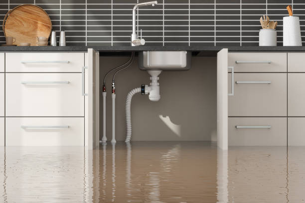 Best Water damage restoration near me  in Shavano Park, TX