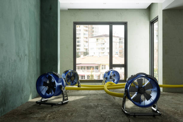 Best Local water damage restoration  in Shavano Park, TX